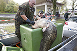 Ulrich simons - Hangeweiher Abfischen